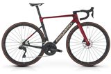 PULSE 15 - RED M (25)