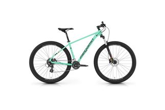 29" NATURAL 50 - TURQUOISE L (22)