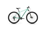 29" NATURAL 50 - TURQUOISE L (22)