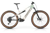 29" FLAME AL 20+ - FOREST S (25)